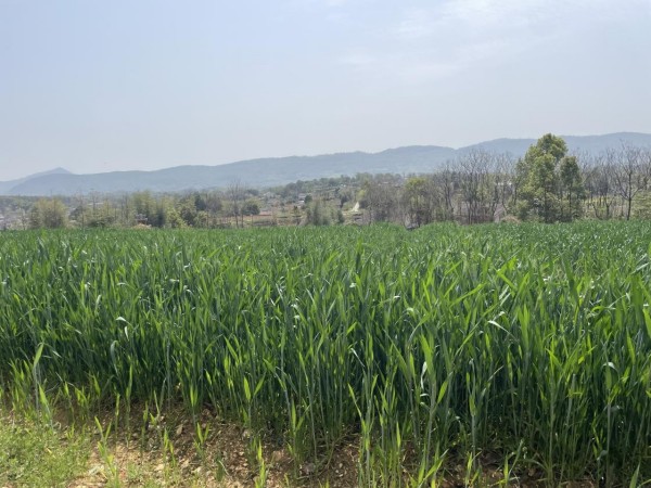 澧縣土地資源,澧縣公共基礎(chǔ)設(shè)施,澧縣工商業(yè)信息咨詢,澧縣澧州實業(yè)發(fā)展有限公司